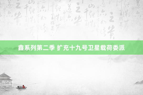 鑫系列第二季 扩充十九号卫星载荷委派