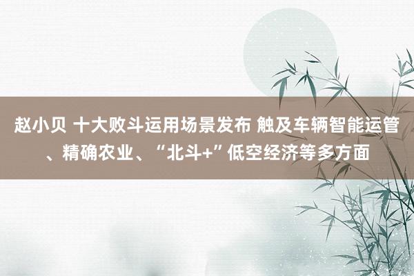 赵小贝 十大败斗运用场景发布 触及车辆智能运管、精确农业、“北斗+”低空经济等多方面