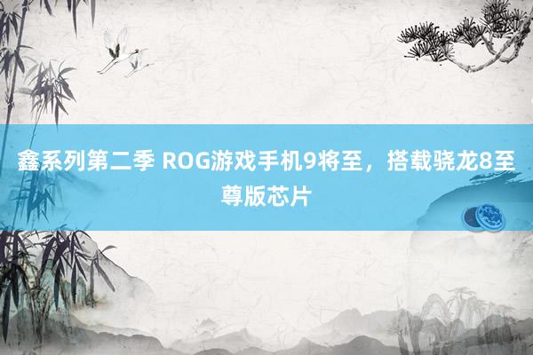 鑫系列第二季 ROG游戏手机9将至，搭载骁龙8至尊版芯片