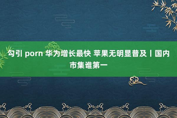 勾引 porn 华为增长最快 苹果无明显普及丨国内市集谁第一