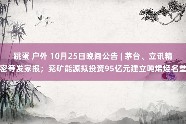 跳蛋 户外 10月25日晚间公告 | 茅台、立讯精密等发家报；兖矿能源拟投资95亿元建立吨烯烃名堂