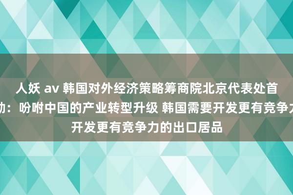 人妖 av 韩国对外经济策略筹商院北京代表处首席代表李尚勋：吩咐中国的产业转型升级 韩国需要开发更有竞争力的出口居品