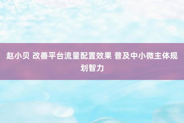 赵小贝 改善平台流量配置效果 普及中小微主体规划智力
