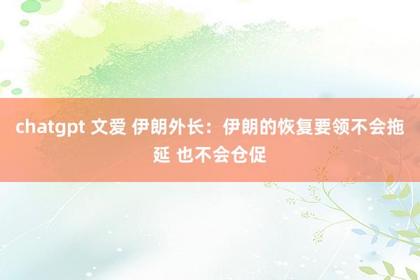 chatgpt 文爱 伊朗外长：伊朗的恢复要领不会拖延 也不会仓促