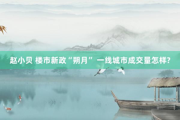 赵小贝 楼市新政“朔月” 一线城市成交量怎样?