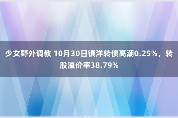 少女野外调教 10月30日镇洋转债高潮0.25%，转股溢价率38.79%