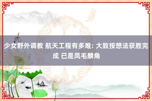 少女野外调教 航天工程有多难: 大致按想法获胜完成 已是凤毛麟角
