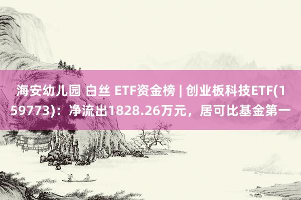 海安幼儿园 白丝 ETF资金榜 | 创业板科技ETF(159773)：净流出1828.26万元，居可比基金第一
