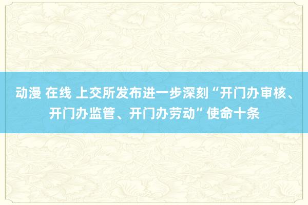 动漫 在线 上交所发布进一步深刻“开门办审核、开门办监管、开门办劳动”使命十条