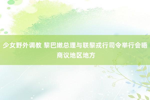 少女野外调教 黎巴嫩总理与联黎戎行司令举行会晤 商议地区地方