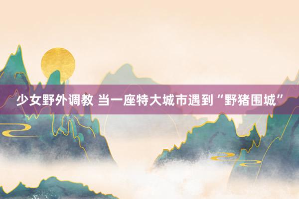 少女野外调教 当一座特大城市遇到“野猪围城”
