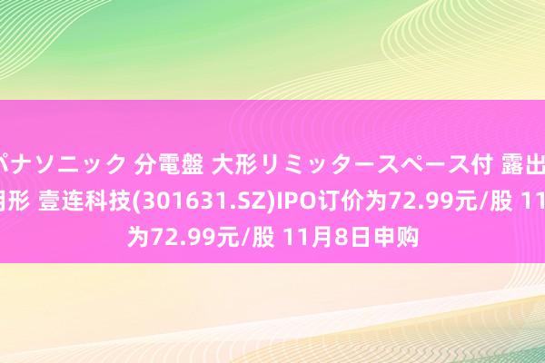 パナソニック 分電盤 大形リミッタースペース付 露出・半埋込両用形 壹连科技(301631.SZ)IPO订价为72.99元/股 11月8日申购