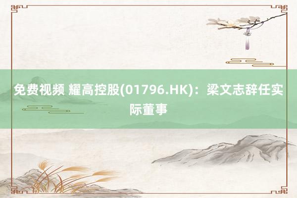 免费视频 耀高控股(01796.HK)：梁文志辞任实际董事