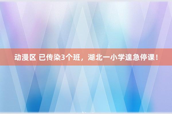 动漫区 已传染3个班，湖北一小学遑急停课！