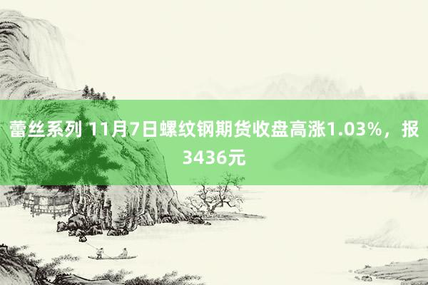 蕾丝系列 11月7日螺纹钢期货收盘高涨1.03%，报3436元