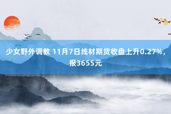 少女野外调教 11月7日线材期货收盘上升0.27%，报3655元