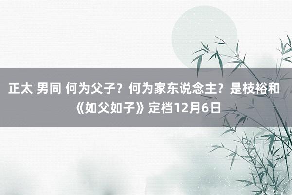 正太 男同 何为父子？何为家东说念主？是枝裕和 《如父如子》定档12月6日