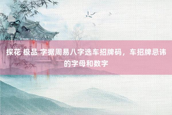 探花 极品 字据周易八字选车招牌码，车招牌忌讳的字母和数字