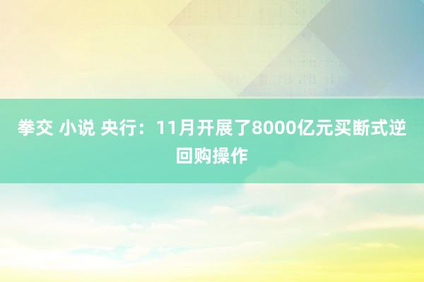 拳交 小说 央行：11月开展了8000亿元买断式逆回购操作