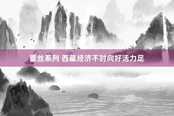 蕾丝系列 西藏经济不时向好活力足