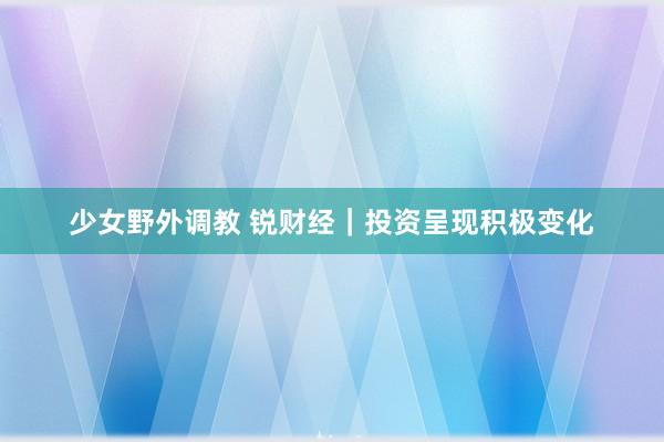 少女野外调教 锐财经｜投资呈现积极变化