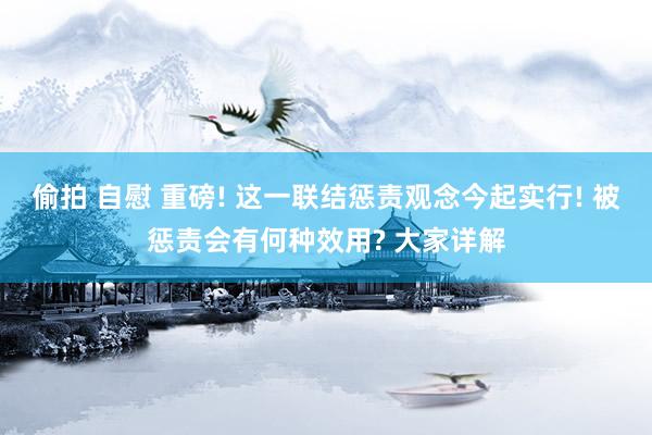 偷拍 自慰 重磅! 这一联结惩责观念今起实行! 被惩责会有何种效用? 大家详解