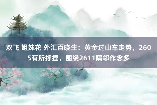 双飞 姐妹花 外汇百晓生：黄金过山车走势，2605有所撑捏，围绕2611隔邻作念多