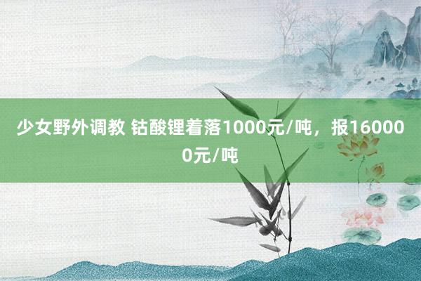 少女野外调教 钴酸锂着落1000元/吨，报160000元/吨