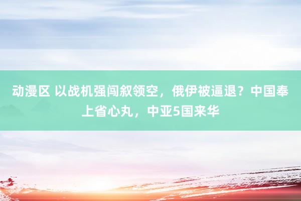 动漫区 以战机强闯叙领空，俄伊被逼退？中国奉上省心丸，中亚5国来华