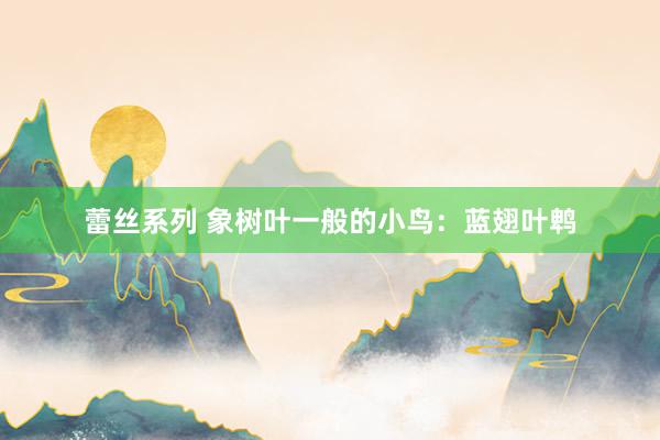 蕾丝系列 象树叶一般的小鸟：蓝翅叶鹎