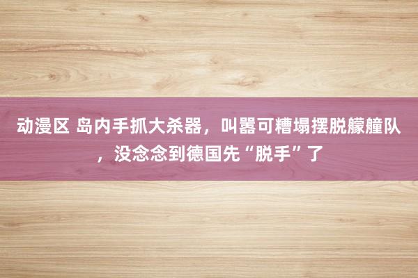 动漫区 岛内手抓大杀器，叫嚣可糟塌摆脱艨艟队，没念念到德国先“脱手”了