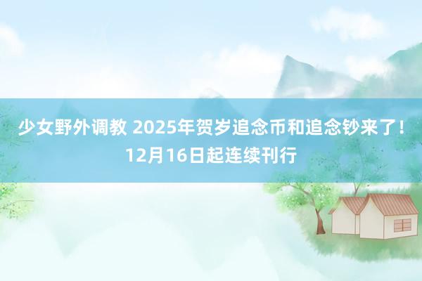 少女野外调教 2025年贺岁追念币和追念钞来了！12月16日起连续刊行