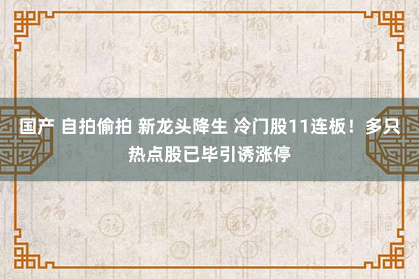 国产 自拍偷拍 新龙头降生 冷门股11连板！多只热点股已毕引诱涨停