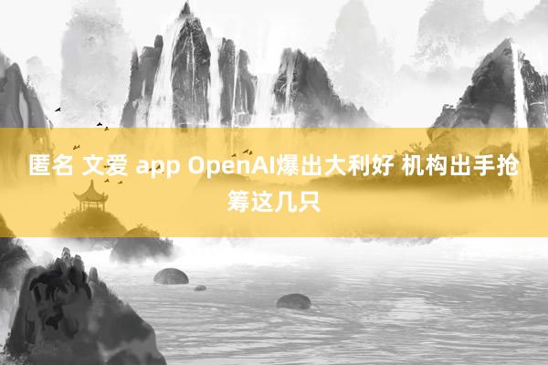 匿名 文爱 app OpenAI爆出大利好 机构出手抢筹这几只