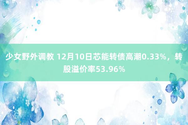 少女野外调教 12月10日芯能转债高潮0.33%，转股溢价率53.96%