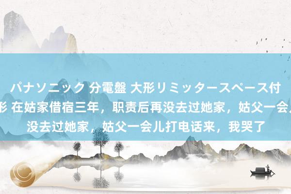 パナソニック 分電盤 大形リミッタースペース付 露出・半埋込両用形 在姑家借宿三年，职责后再没去过她家，姑父一会儿打电话来，我哭了
