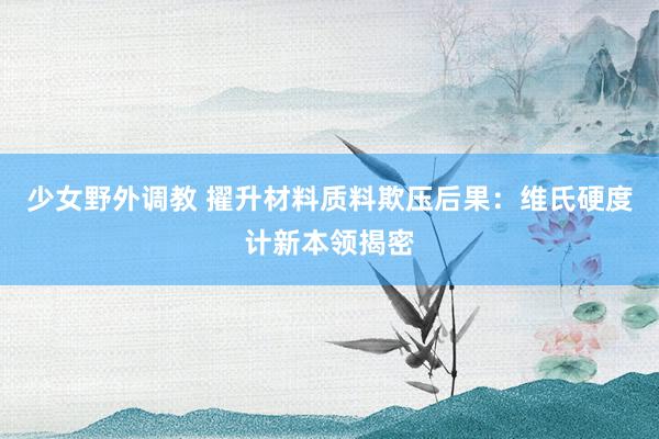少女野外调教 擢升材料质料欺压后果：维氏硬度计新本领揭密