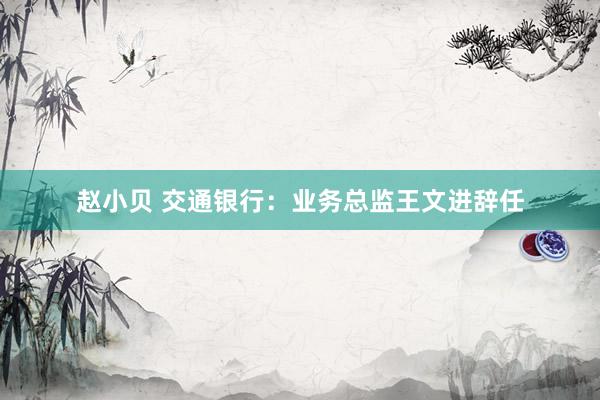 赵小贝 交通银行：业务总监王文进辞任
