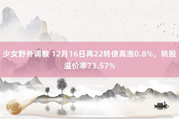 少女野外调教 12月16日再22转债高涨0.8%，转股溢价率73.57%