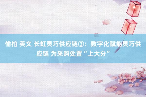 偷拍 英文 长虹灵巧供应链③：数字化赋能灵巧供应链 为采购处置“上大分”