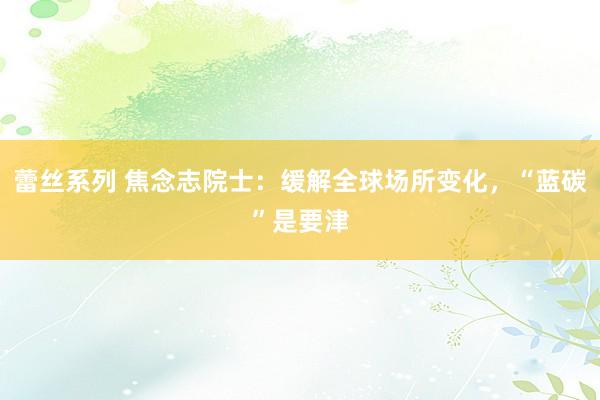 蕾丝系列 焦念志院士：缓解全球场所变化，“蓝碳”是要津