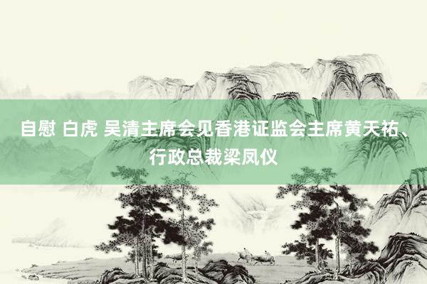 自慰 白虎 吴清主席会见香港证监会主席黄天祐、行政总裁梁凤仪