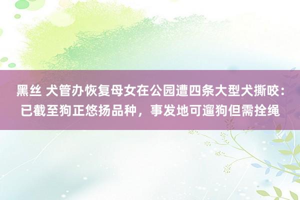 黑丝 犬管办恢复母女在公园遭四条大型犬撕咬：已截至狗正悠扬品种，事发地可遛狗但需拴绳