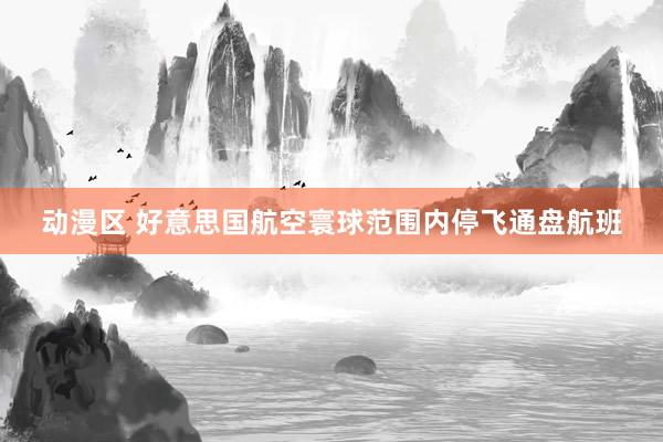 动漫区 好意思国航空寰球范围内停飞通盘航班