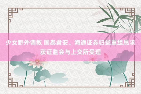 少女野外调教 国泰君安、海通证券归拢重组恳求获证监会与上交所受理