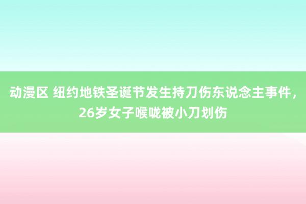 动漫区 纽约地铁圣诞节发生持刀伤东说念主事件，26岁女子喉咙被小刀划伤