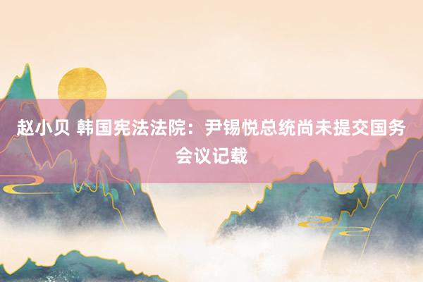 赵小贝 韩国宪法法院：尹锡悦总统尚未提交国务会议记载