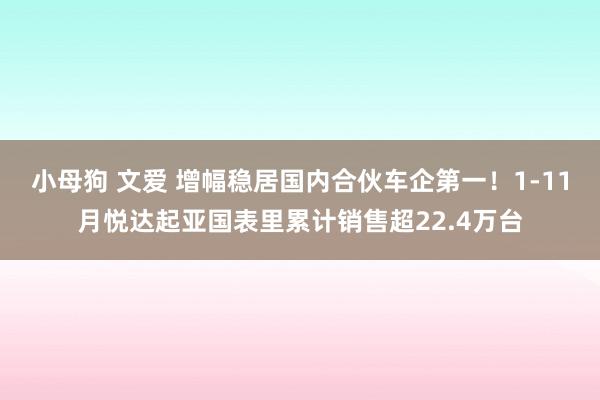 小母狗 文爱 增幅稳居国内合伙车企第一！1-11月悦达起亚国表里累计销售超22.4万台