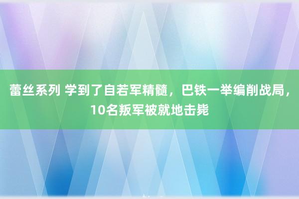 蕾丝系列 学到了自若军精髓，巴铁一举编削战局，10名叛军被就地击毙