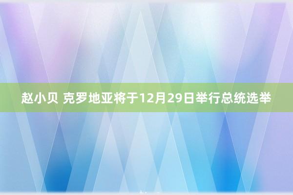 赵小贝 克罗地亚将于12月29日举行总统选举